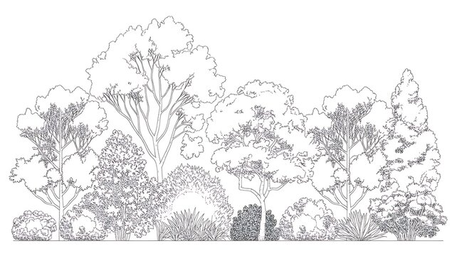 Trees and bushes in elevation view for use in architectural drawings 