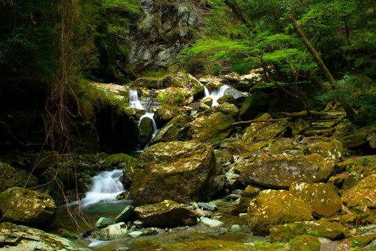 渓谷の中の流れ
