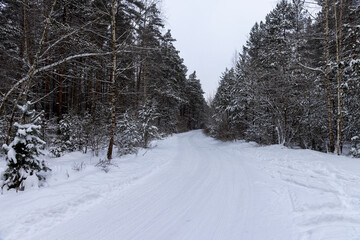 Obraz premium a narrow road for cars in the forest in winter, covered with snow, a track from cars in the forest in winter, around there are trees without foliage and coniferous trees