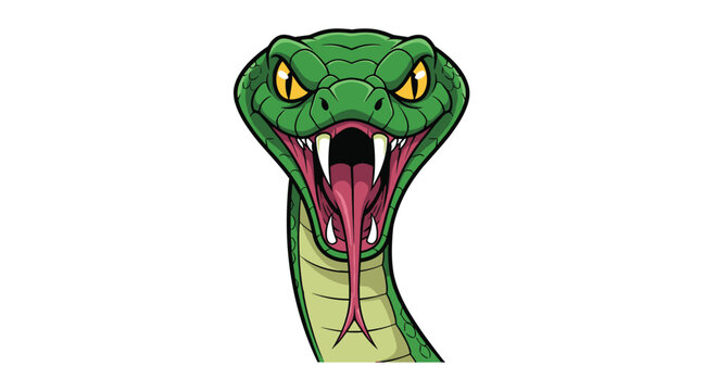 Ferocious green snake head with its mouth wide open showing sharp fangs and a long tongue isolated on white background.