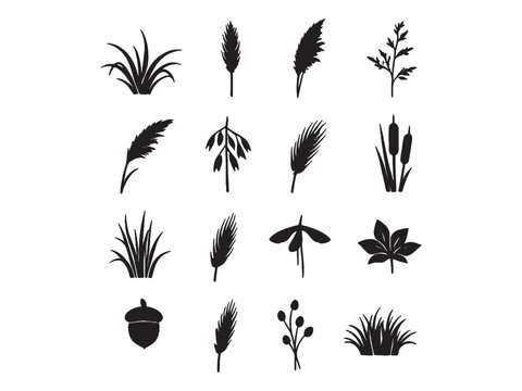 Grass and Wild Plants Silhouette Vector Set | Botanical Nature Icons Collection
