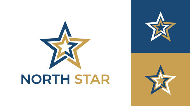 A professional logo design featuring a North Star motif, utilizing bold colors and a modern aesthetic, ideal for businesses aiming for quality and guidance.