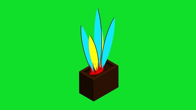 A colorful, low-poly 3D isometric potted plant with vibrant blue and yellow leaves 4k stock animation video on a green screen background for chroma key in video editing.