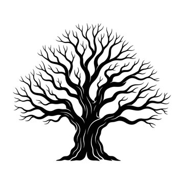 A black vector silhouette of an oak tree illustration featuring a detailed branch pattern and a strong trunk with growth roots as a nature symbol for forest design