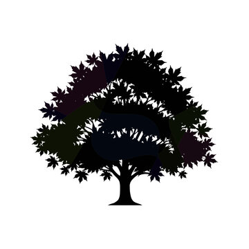 A black vector silhouette of a forest tree with detailed branches and roots represents nature and growth in this floral art illustration for seasonal environment design