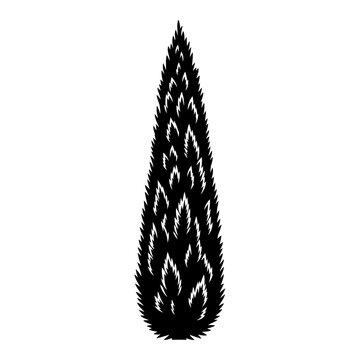 Vector illustration of black and white feathers and a black leaf isolated among dry autumn flora and wild thistle seeds in a summer meadow garden close-up