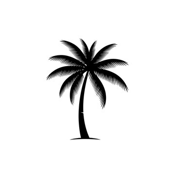 A tropical summer sunset landscape featuring the silhouette of coconut palm trees on a paradise island beach nature illustration design for travel and vacation