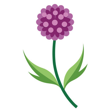 vector illustration of a allium moly flower