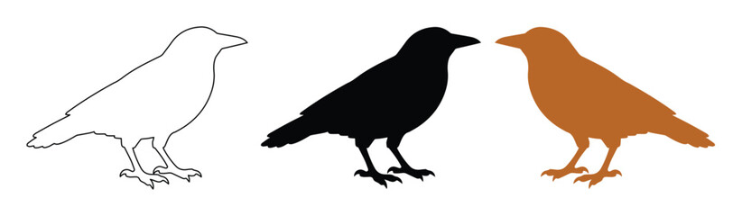 Fototapeta premium Minimalist Bird Silhouettes Vector Set. Three Stylized Raven or Crow Icons in Outline, Black, and Brown. Versatile Avian Graphics for Nature, Wildlife, or Logo Design.