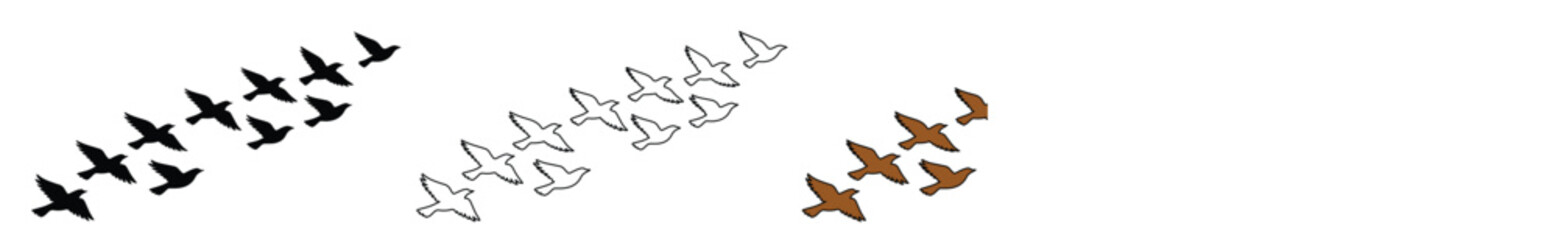 Flying birds vector set, a minimalist flock of geese or ducks in flight, abstract animal silhouettes for nature and wildlife designs, black, gray, and brown avian migration graphics. © Farzana