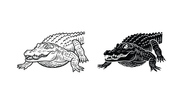 Detailed alligator reptile mascot icon in minimalist line art and solid black silhouette style for sports team branding and wildlife graphic assets