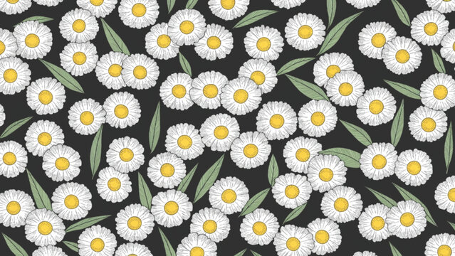 Seamless pattern of small white daisy flowers vector background