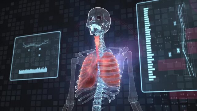 3d animation, 3d video,Abstract, loop, medical visualization of the human respiratory system with digital data displays, health and technology concept, 5