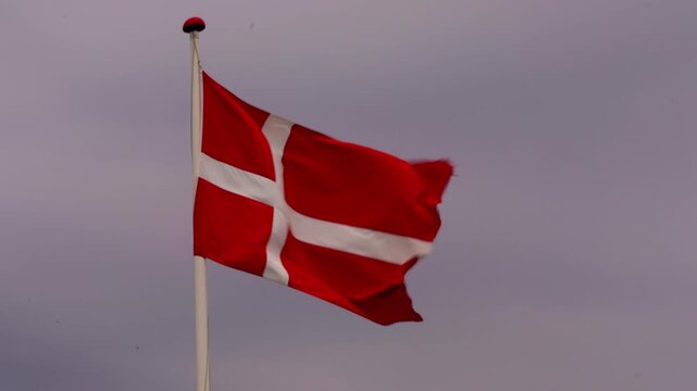 Danish Flag Dannebrog Waving in Wind Against Overcast Sky, Denmark