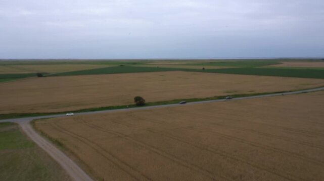 Drone View over Grain Fields and Wadden Sea Horizon, Ribe, Denmark