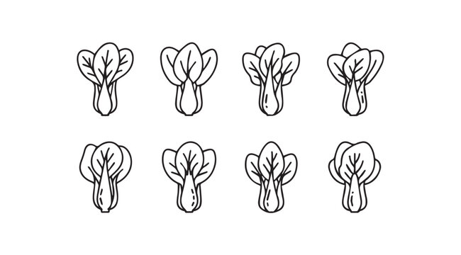 Bok Choy vector illustration in simple line art style for healthy food concepts