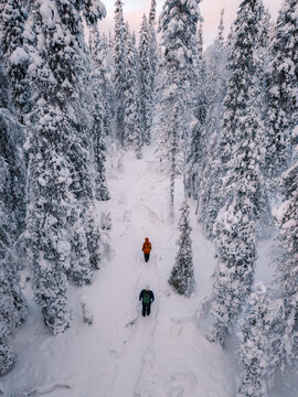 Two adventurers trek through a stunning winter landscape in Akaslompolo, Lapland, Finland. Towering snow-laden trees create a magical backdrop for this peaceful journey through nature.