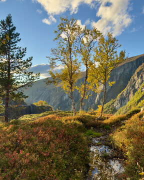 View from V&oslash;ringsfoss
