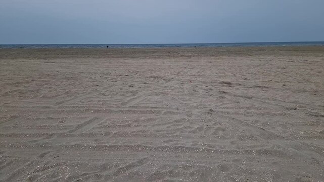 Vast Flat Sandy Beach with Tire Tracks and Sea Horizon near Ribe, Denmark