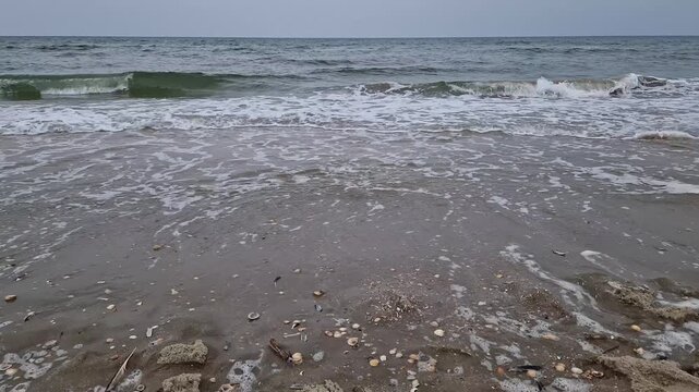 Gentle Ocean Waves Breaking on Shell-Covered Beach near Ribe, Denmark