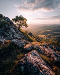 Obraz premium Mountain Landscape at Sunrise with Lone Tree and Dramatic Sky
