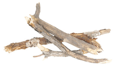 Fototapeta premium piece of driftwood isolated white background. piece of a broken tree branch. brushwood. wooden stick