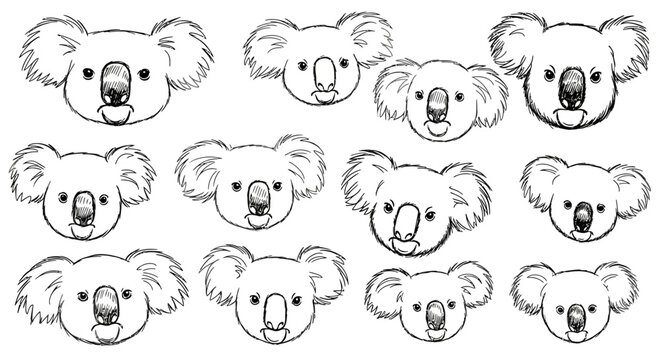 Hand drawn koala bear head illustrations, cute australian animal face sketches, black and white line art vector set for coloring and stickers