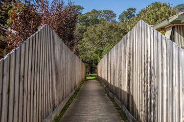 Fototapeta premium Narrow laneway between weathered timber paling fences leading to parkland in Sunbury, Melbourne, Australian suburb. Communal public footpath access connecting residential street to nature reserve.