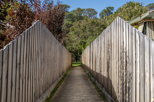 Narrow laneway between weathered timber paling fences leading to parkland in Sunbury, Melbourne, Australian suburb. Communal public footpath access connecting residential street to nature reserve.