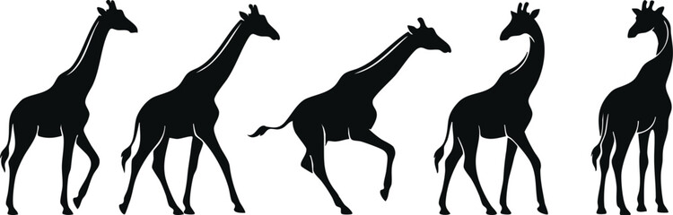 Obraz premium Giraffe Silhouette Vector Set – Wild Animal Black Shapes, Safari Wildlife Illustration Collection