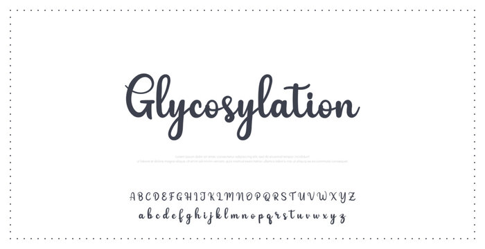 white abc vector black stylish clean font minimalist creative digital banner display calligraphic template modern web print science element headline graphic elegant wedding alphabet design beautiful