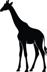 Obraz premium Giraffe Silhouette Vector Set – Wild Animal Black Shapes, Safari Wildlife Illustration Collection