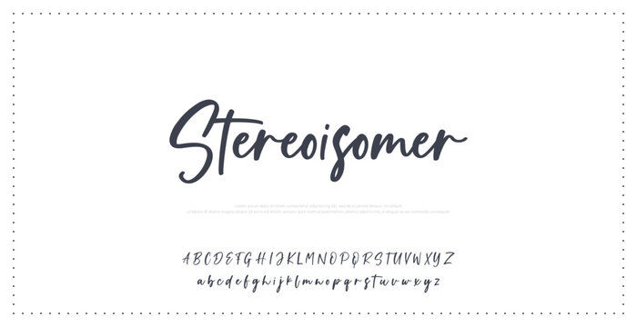 signature unique modern typographic display resource branding script font typeface decorative personal brush clean isolated minimal lettering text swash banner graphic poster template artistic