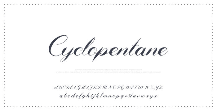 letter script invitation modern stylish refined type elegant personal calligraphic clean chic typography font graphic white signature template ornate creative feminine vector premium digital design