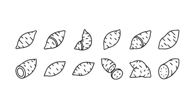 Sweet Potato Icons in Various Styles and Cuts on White Background