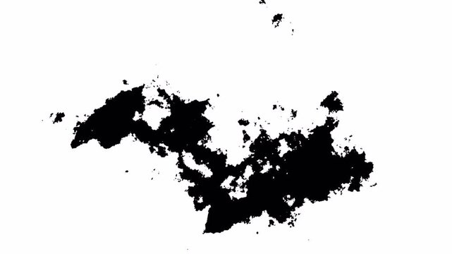 ink Splash animation on transparent background.  ink spot spreading from center in 4K resolution with alpha channel.