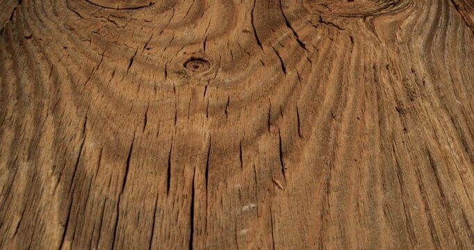 Closeup Aged Wood Surface Showing Deep Knots And Circular Growth Rings, Richly