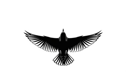 Obraz premium European starling flying silhouette bottom view dramatic wing perspective bird vector isolated on white background