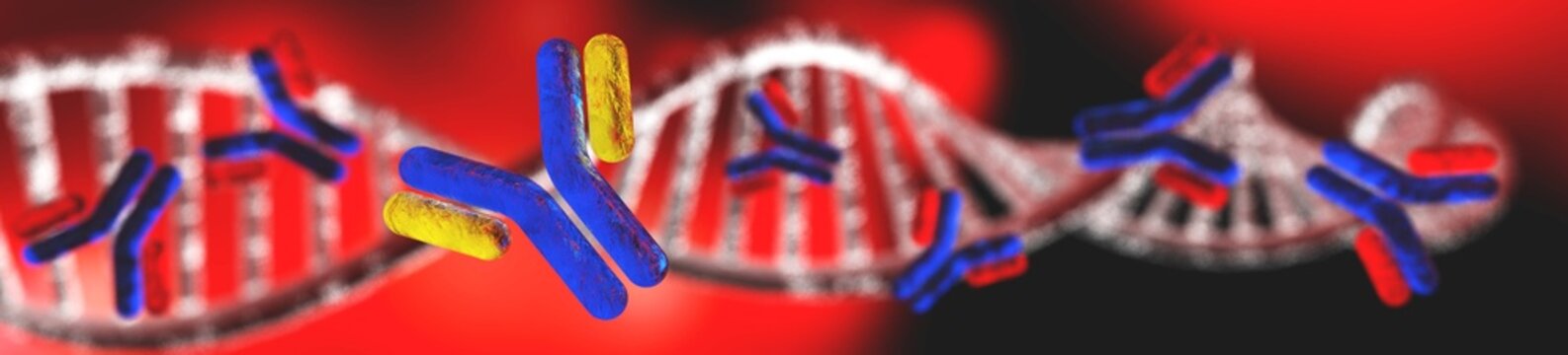 antibody, immunoglobulin, Y-shaped protein produced mainly by plasma cells,   3d rendering