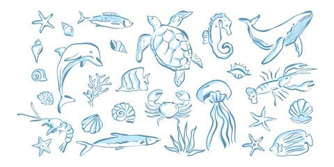 Hand Drawn Marine Life Illustration Set with sea animals. Crayon drawing vector elements. © ngupakarti