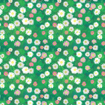 エリゲロンのシームレスパターン。白とピンクの小花の厚塗り風イラスト 背景素材　Erigeron flowers