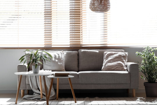 Comfortable brown sofa with tables and houseplants near window in living room