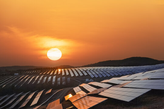 Golden Sunset Illuminating Vast Solar Panel Array on Hills