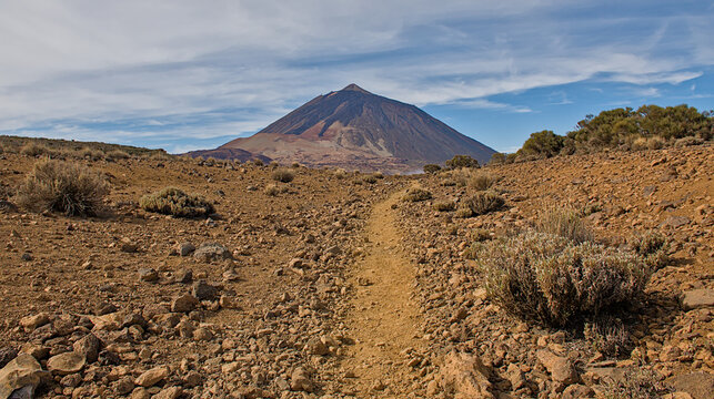 hiking trail through a volcanic landscape towards mount Teide in Tenerife, Canary islands, Spain 