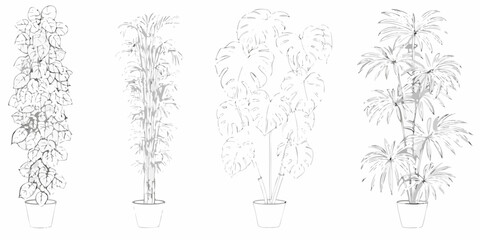Potted indoor plants sketch set botanical line art illustration © Bipul