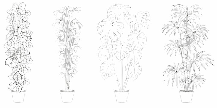 Potted indoor plants sketch set botanical line art illustration