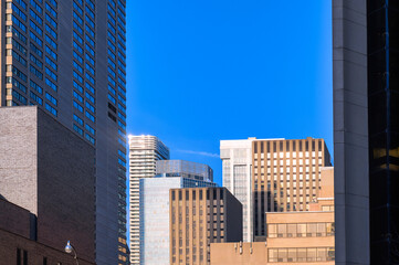Fototapeta premium Toronto cityscape in the downtown district, Canada