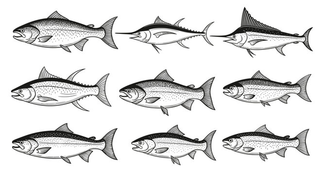 Group of Silhouette Fish Swimming in a Row.