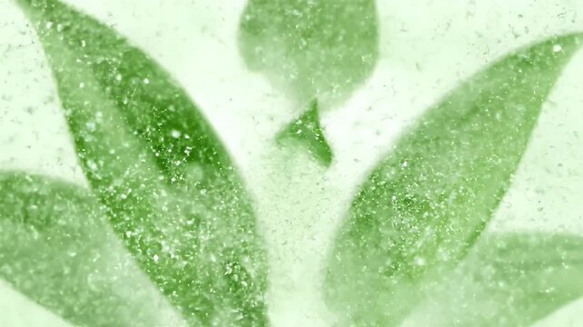 Green Plant Leaves in Particle Effects Animation on Light Green Background Medical Science Presentation Herbal