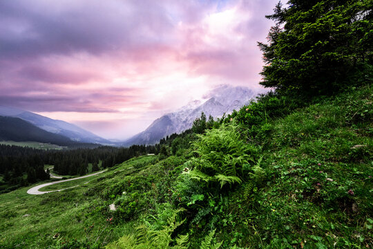 Dramatic pink sunset over the winding mountain road of Grosse Scheidegg pass, Swiss Alps